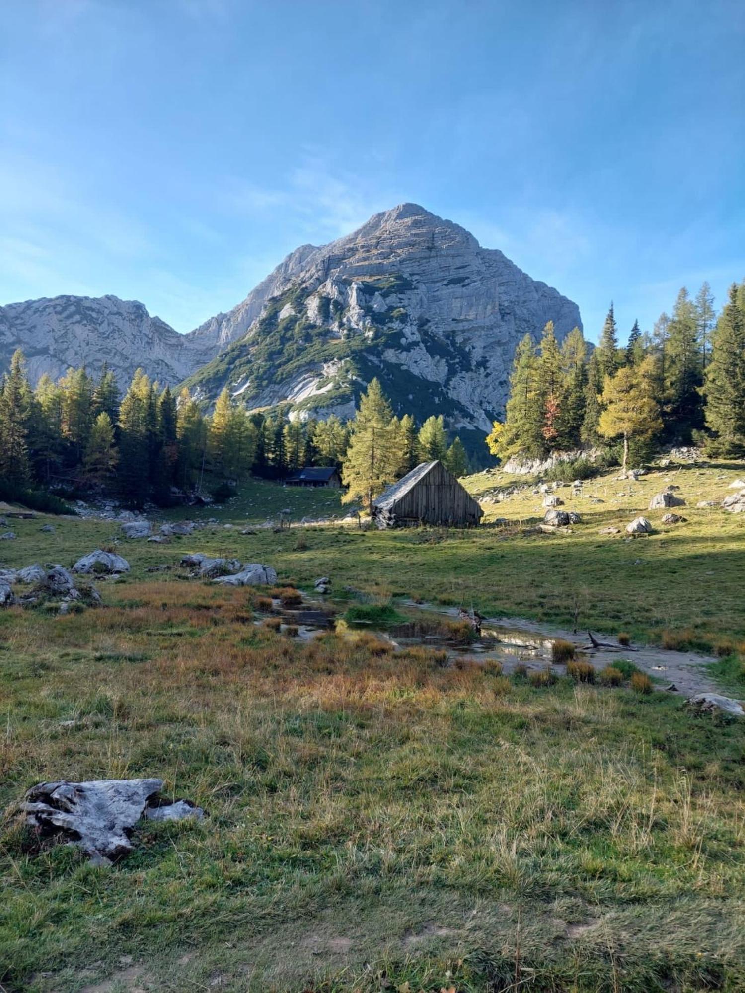 Chalet Вільдальпен Екстер'єр фото