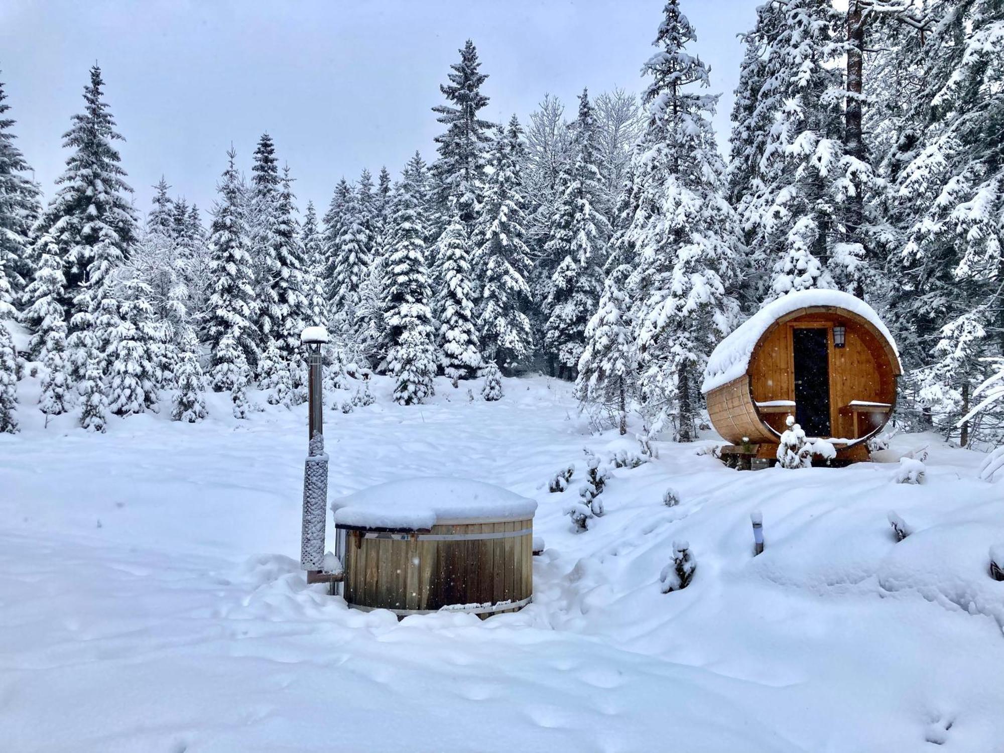 Chalet Вільдальпен Екстер'єр фото